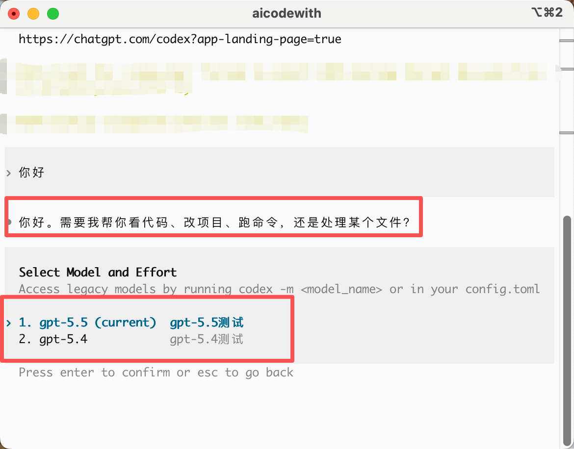 Codex 终端测试