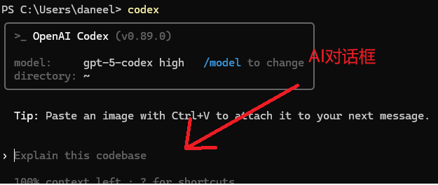 启动 Codex CLI