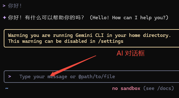 验证 Gemini 对话