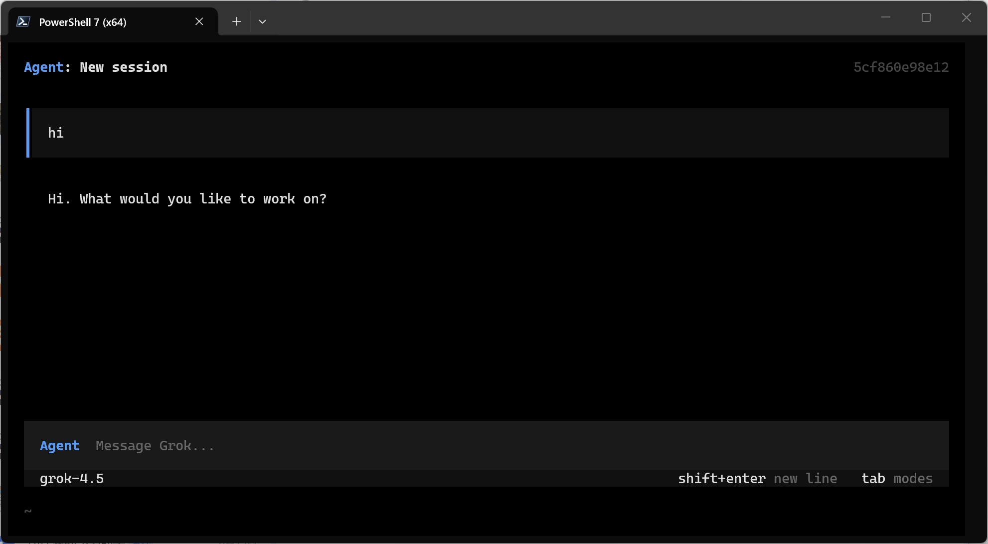 Windows 验证 Grok