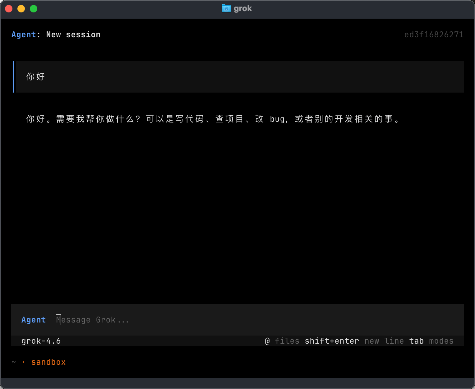 macOS 验证 Grok