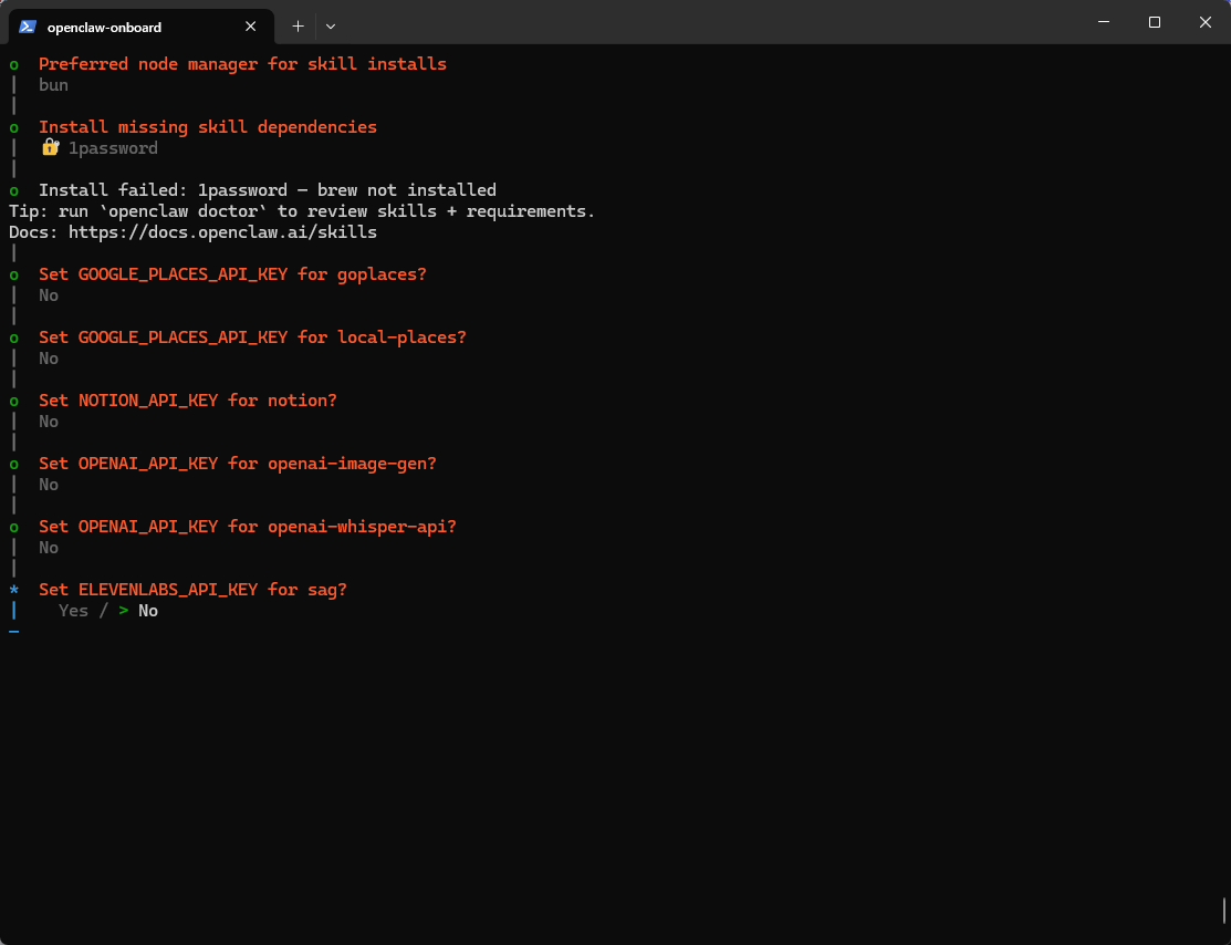 跳过 skills 的 API Key
