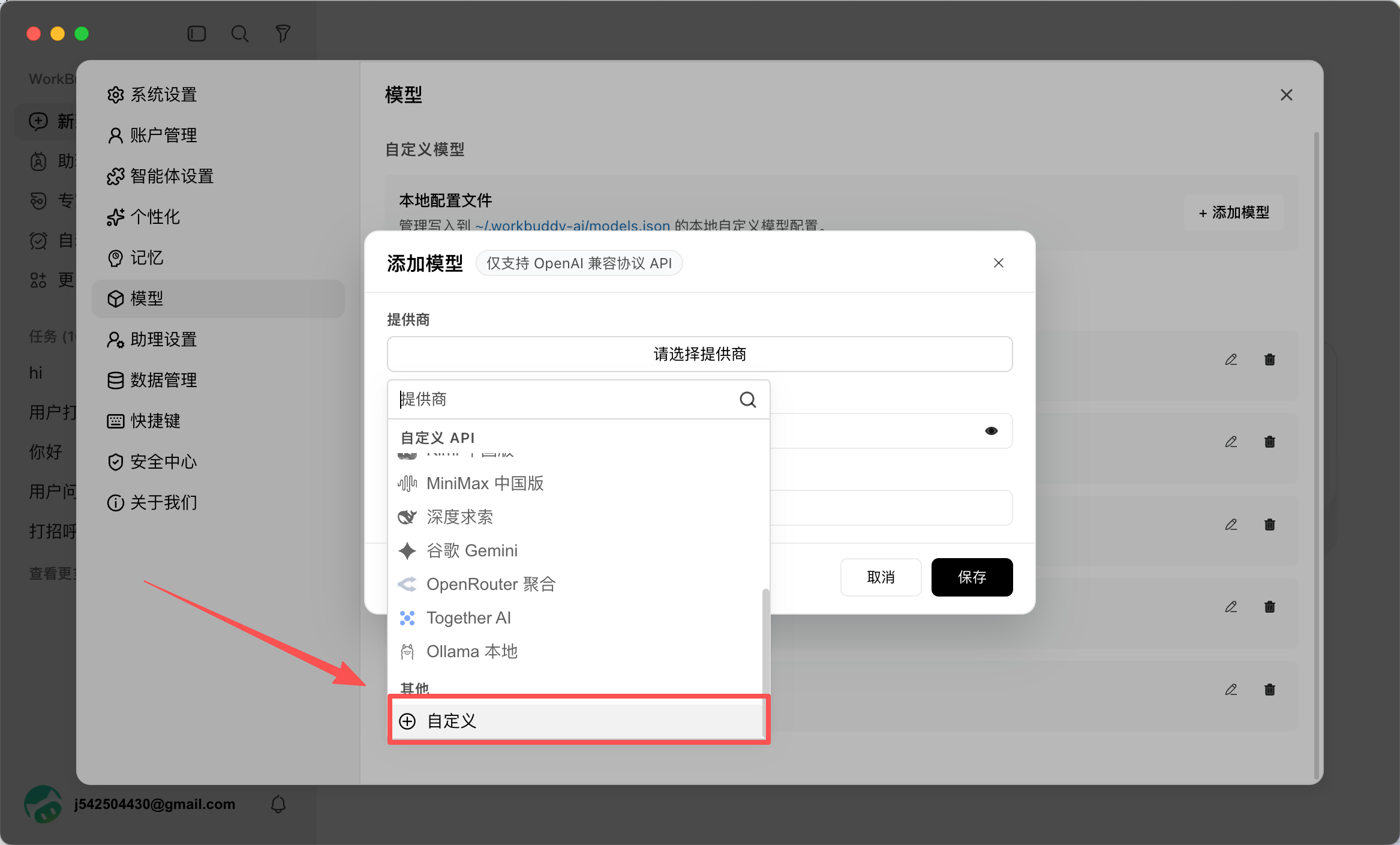 选择自定义提供商