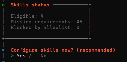配置 Skills